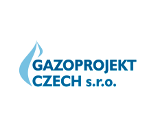 Primary Raster logo